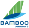 Bamboo